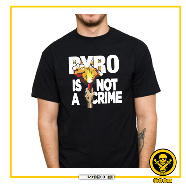 Pyro is not a Crime