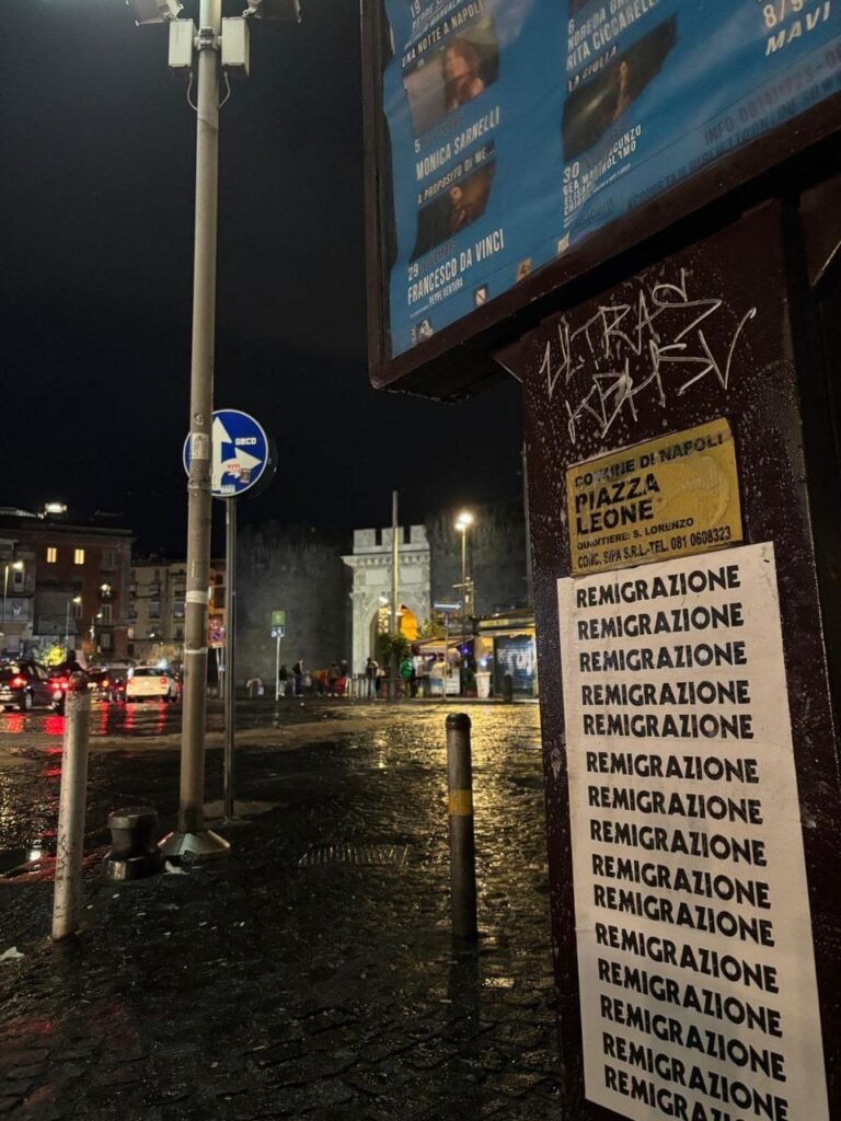 Unica soluzione? Remigrazione Unica soluzione? Remigrazione